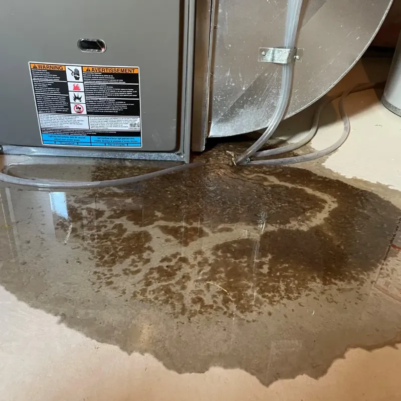 Appliance Leak Cleanup in West Wendover, NV